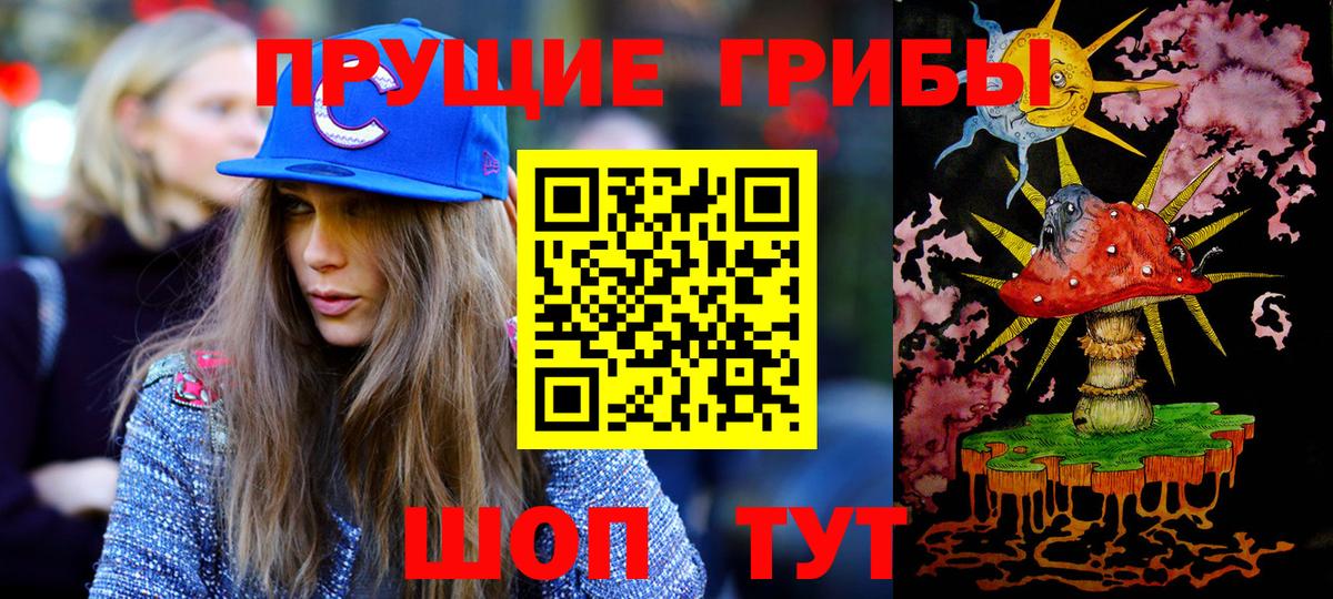 Горно-Алтайск  Галлюциногенные грибы прущие грибы  Вход с VPN 