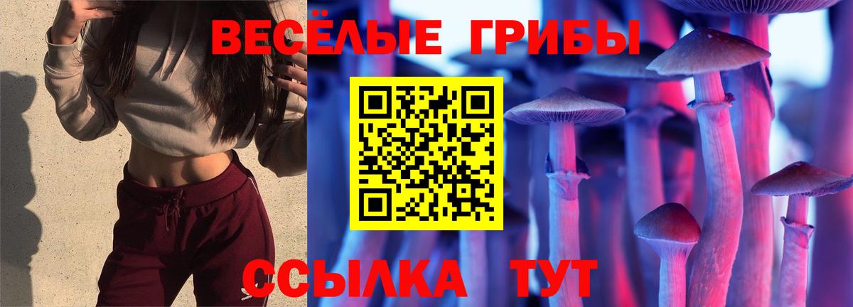 ГАШ  Вейп ТГК  Горно-Алтайск  МЕТАДОН  Вход с VPN  Меф МЯУ МЯУ  Меф   АМФ кристаллы  Экстази  КОКАИН 
